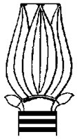TULIP0O0.BMP