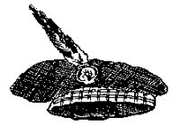TAM_4DB.BMP