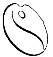 PALETEEI.BMP