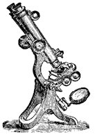 MICRO6R4.BMP