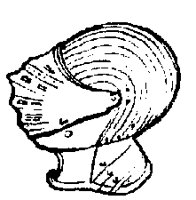 HELMUEF9.BMP