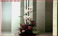 FLWRS15.BMP