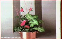 FLWRS14.BMP