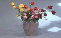 FLOWERS.BMP