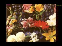 FLORAL.BMP