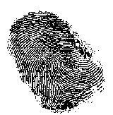 FINPRINT.BMP