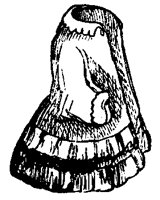 COATEHL.BMP