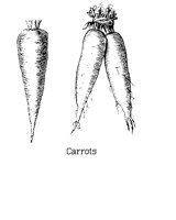 CARROTS.BMP