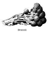 BROCCOLI.BMP