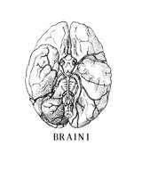 BRAIN1.BMP