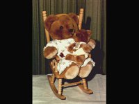BEAR3.BMP
