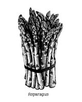 ASPARAGU.BMP