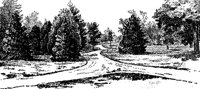 LANE_0Q3.BMP