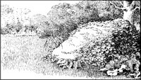 FIELD0N4.BMP
