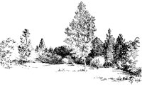 FIELD0M4.BMP
