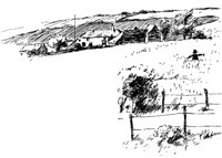FARMF57.BMP