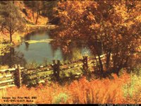 AUTUMN1.BMP