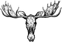MOOSEET6.BMP
