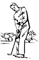 GOLF_2B4.BMP