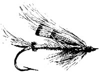 FLY_6Z5.BMP