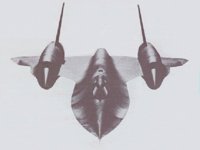 BLACKBIR.BMP