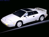 1LOTUS.BMP
