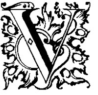 DV.TIF