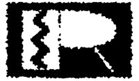 BOG_8R.TIF