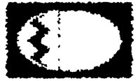BOG_8O.TIF