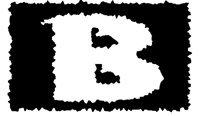 BOG_8B.TIF