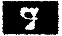 BOG_89.TIF