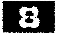 BOG_88.TIF