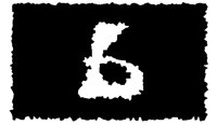 BOG_86.TIF