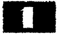 BOG_81.TIF