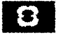BOG_80.TIF