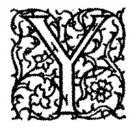 BOG_7Y.TIF