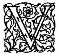 BOG_7V.TIF