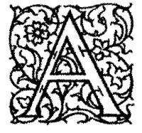 BOG_7A.TIF