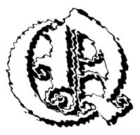 BOG_6Q.TIF