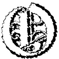 BOG_6O.TIF