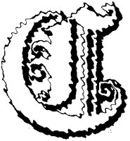 BOG_6C.TIF