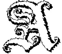 BOG_6A.TIF