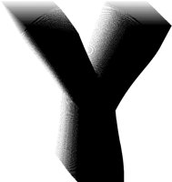 BOG_5Y.TIF