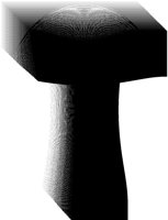 BOG_5T.TIF