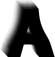 BOG_5A.TIF