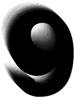 BOG_59.TIF