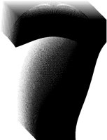 BOG_57.TIF