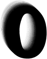 BOG_50.TIF