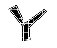 BOG_3Y.TIF