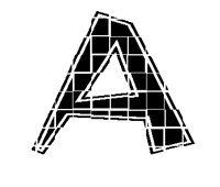 BOG_3A.TIF